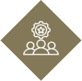 Expert Team